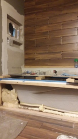 Hall Bath Remodel